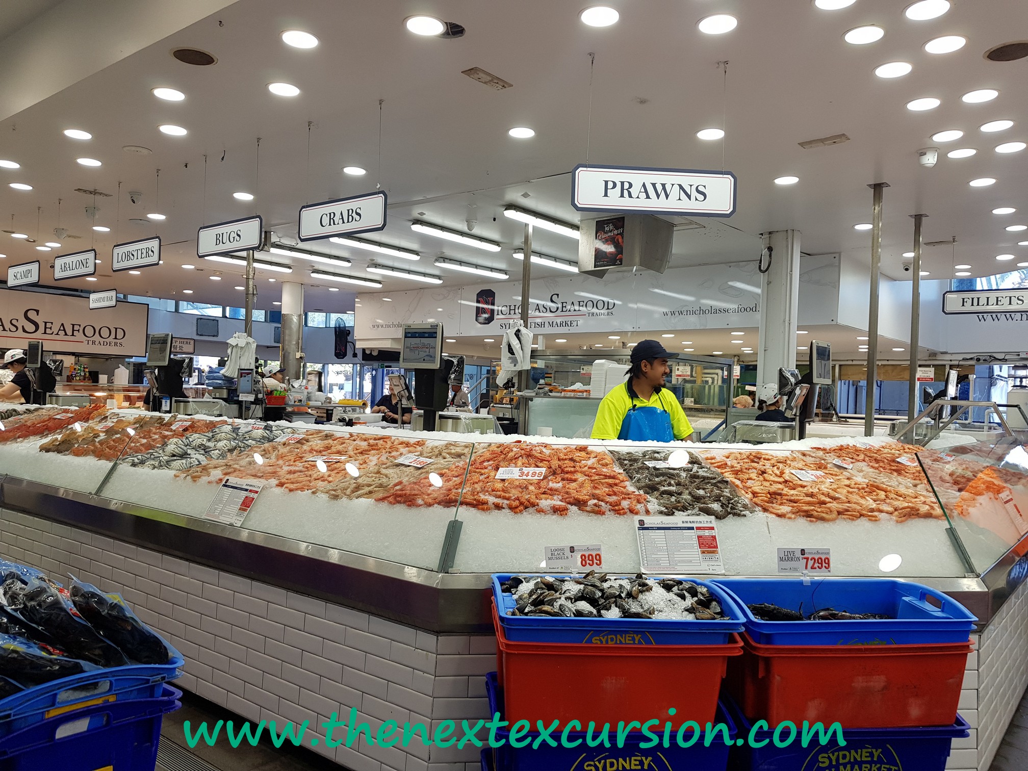 chinese new year sydney fish market